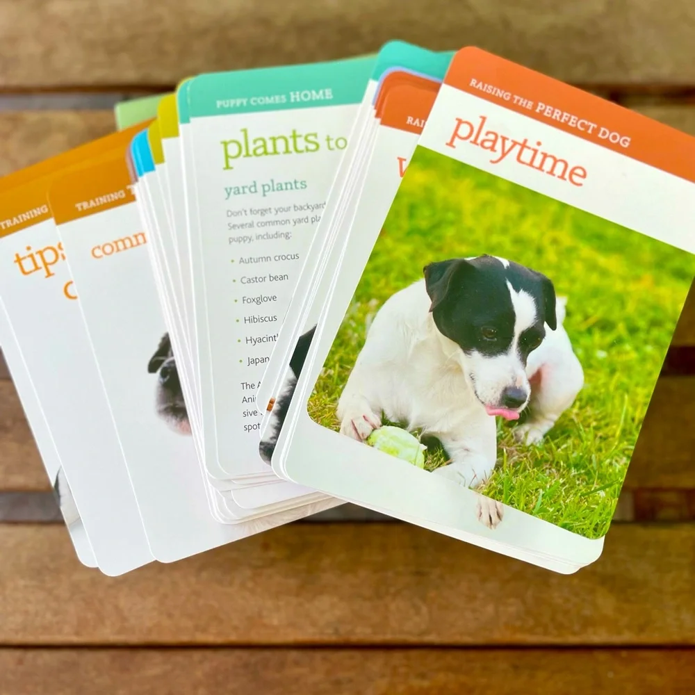 Puppyhood Deck: 50 Tips for Raising the Perfect Dog